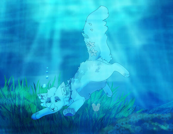 Ocean cat Ocean cat